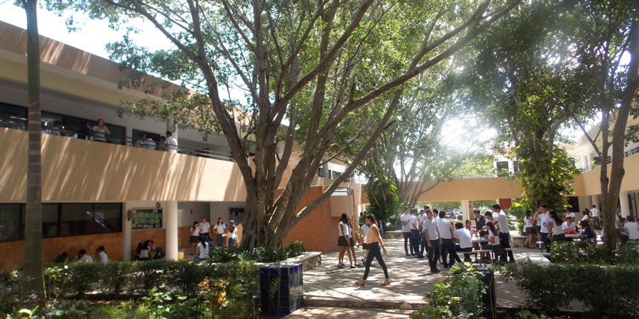 Inst Prepa 5
