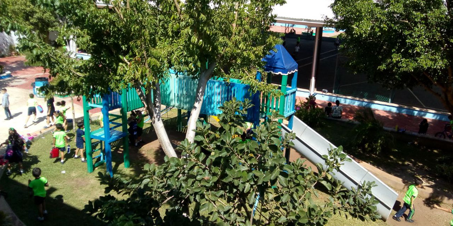 Inst Sodzil 6